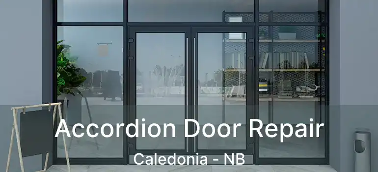  Accordion Door Repair Caledonia - NB