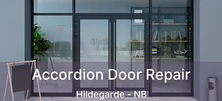  Accordion Door Repair Hildegarde - NB