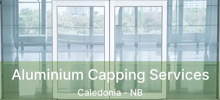  Aluminium Capping Services Caledonia - NB