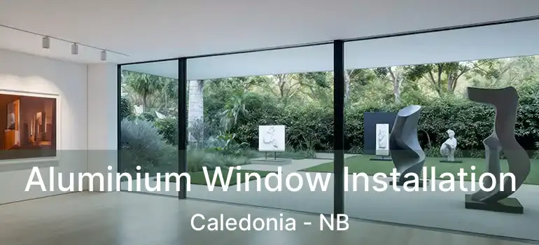  Aluminium Window Installation Caledonia - NB
