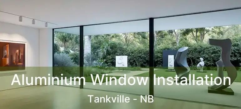  Aluminium Window Installation Tankville - NB