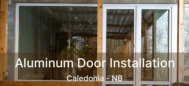  Aluminum Door Installation Caledonia - NB