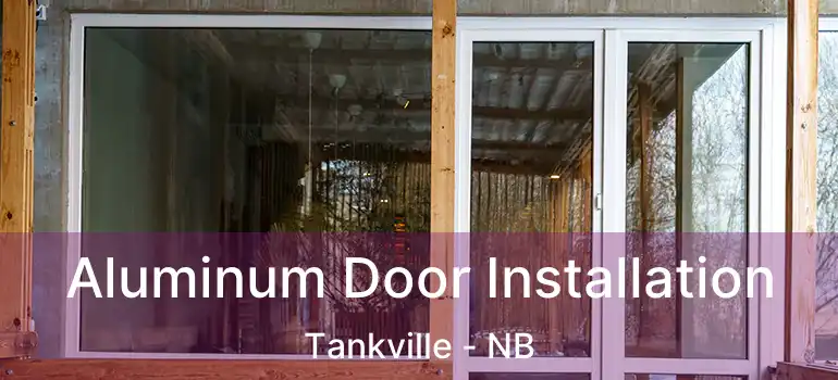  Aluminum Door Installation Tankville - NB