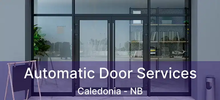  Automatic Door Services Caledonia - NB