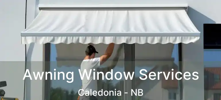  Awning Window Services Caledonia - NB