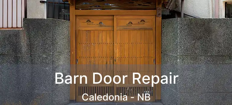  Barn Door Repair Caledonia - NB
