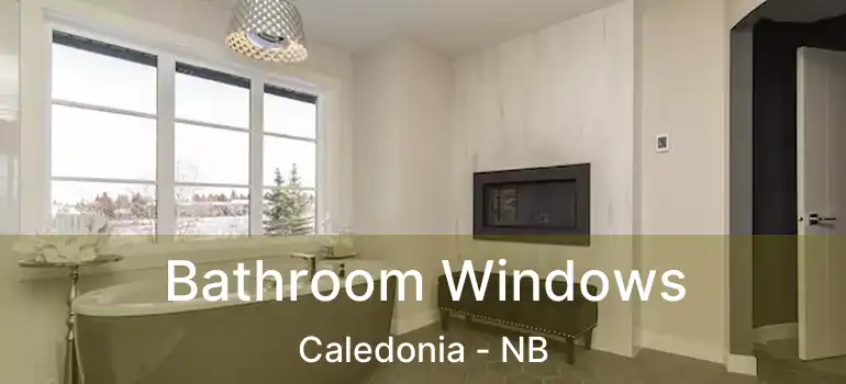  Bathroom Windows Caledonia - NB