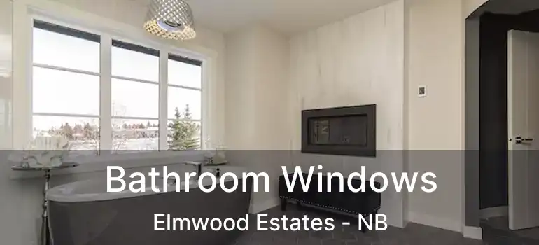  Bathroom Windows Elmwood Estates - NB