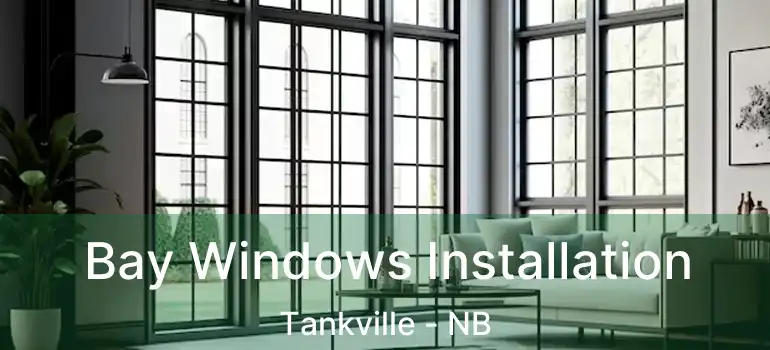  Bay Windows Installation Tankville - NB