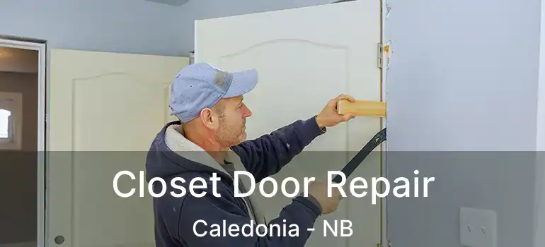  Closet Door Repair Caledonia - NB