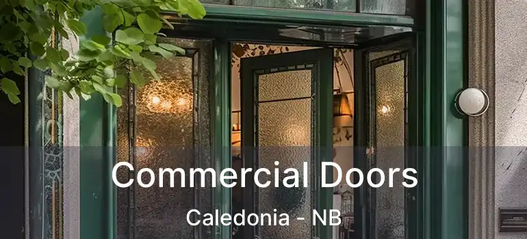  Commercial Doors Caledonia - NB