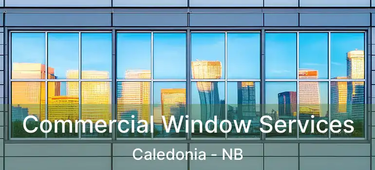  Commercial Window Services Caledonia - NB