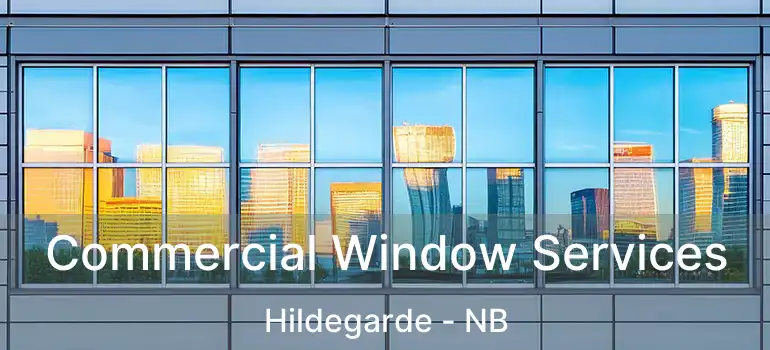  Commercial Window Services Hildegarde - NB