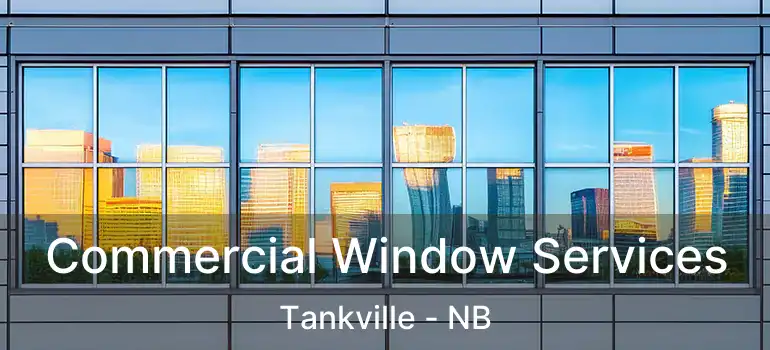  Commercial Window Services Tankville - NB