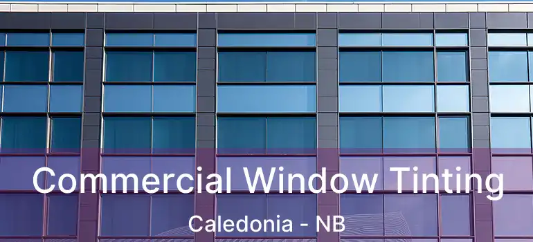  Commercial Window Tinting Caledonia - NB