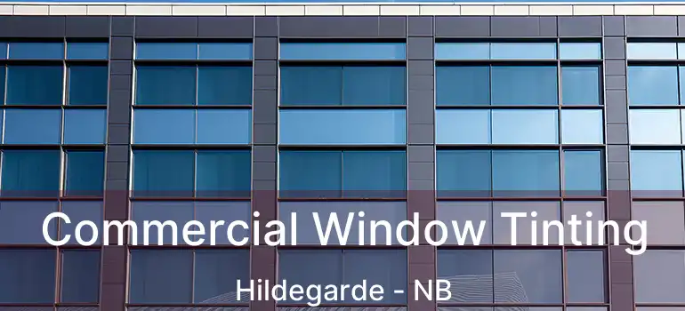  Commercial Window Tinting Hildegarde - NB