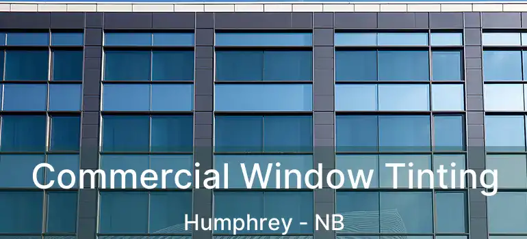  Commercial Window Tinting Humphrey - NB