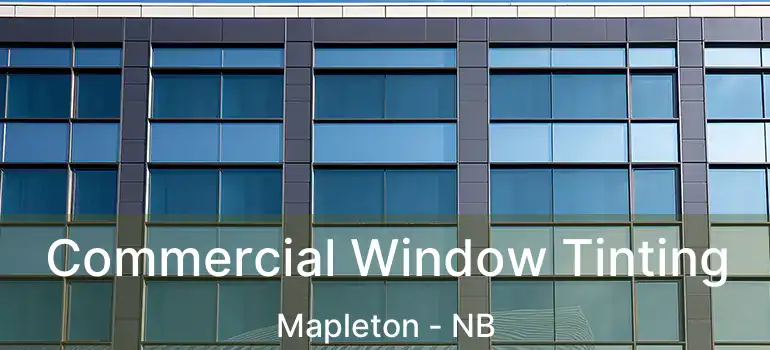 Commercial Window Tinting Mapleton - NB