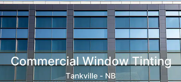  Commercial Window Tinting Tankville - NB