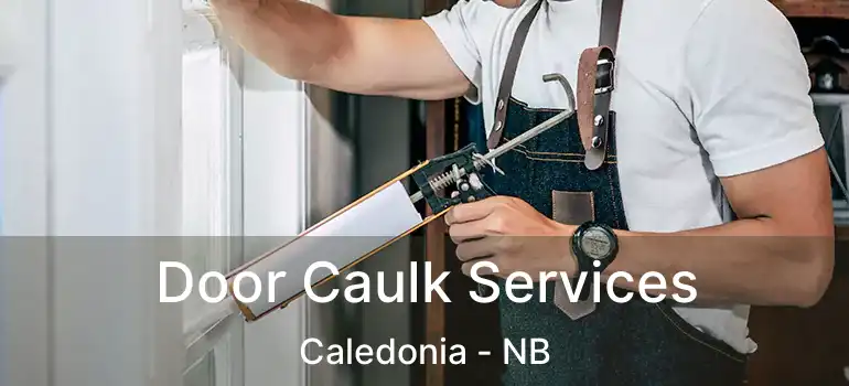  Door Caulk Services Caledonia - NB