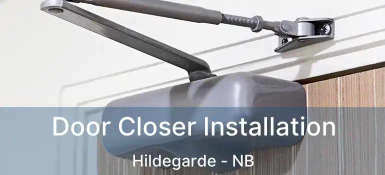  Door Closer Installation Hildegarde - NB
