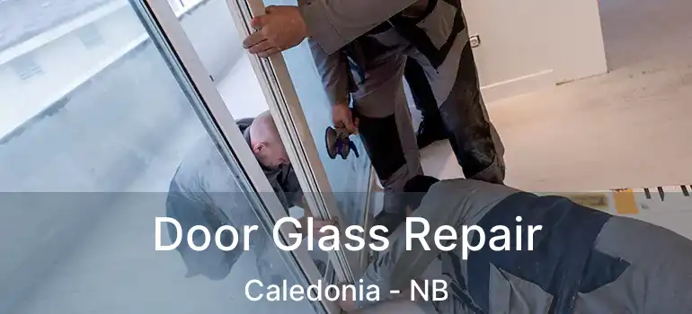  Door Glass Repair Caledonia - NB