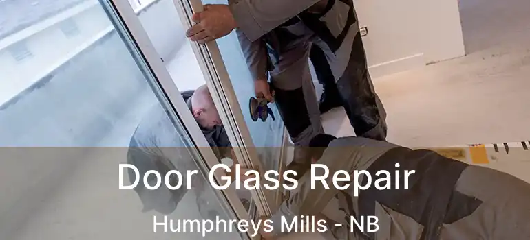  Door Glass Repair Humphreys Mills - NB