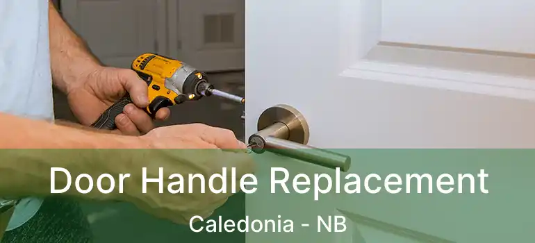  Door Handle Replacement Caledonia - NB