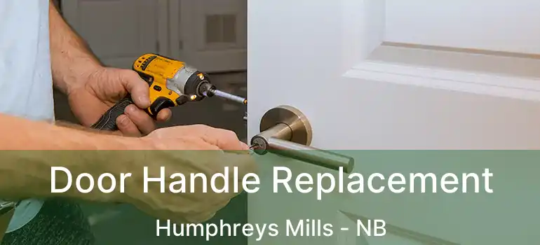  Door Handle Replacement Humphreys Mills - NB