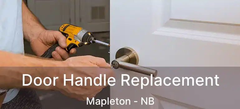  Door Handle Replacement Mapleton - NB