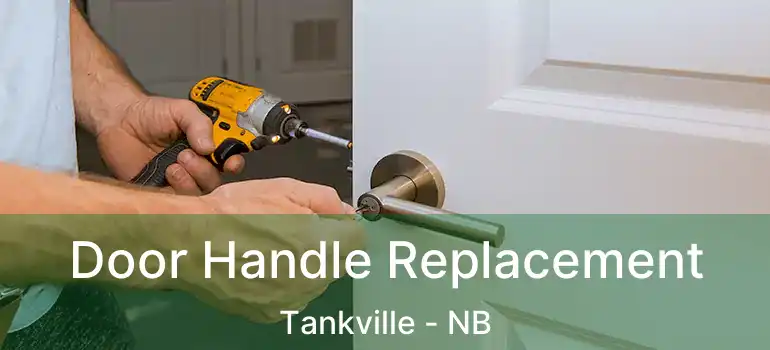  Door Handle Replacement Tankville - NB