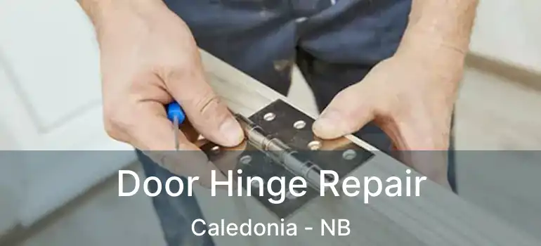  Door Hinge Repair Caledonia - NB
