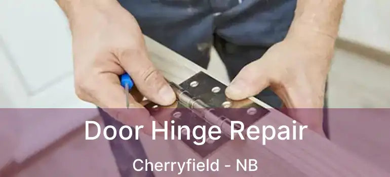  Door Hinge Repair Cherryfield - NB