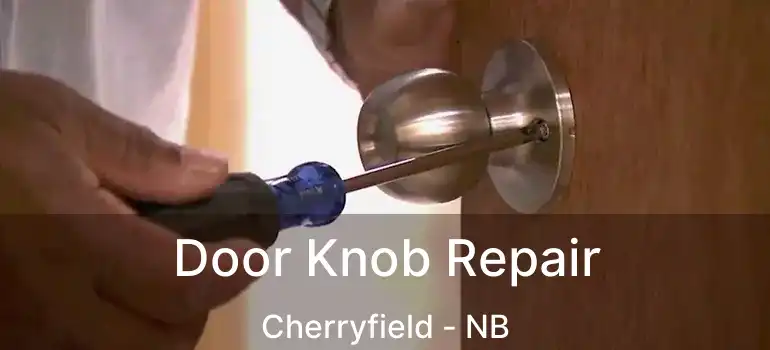  Door Knob Repair Cherryfield - NB