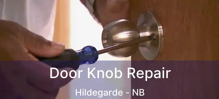  Door Knob Repair Hildegarde - NB
