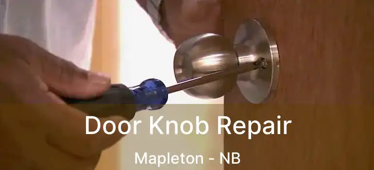  Door Knob Repair Mapleton - NB