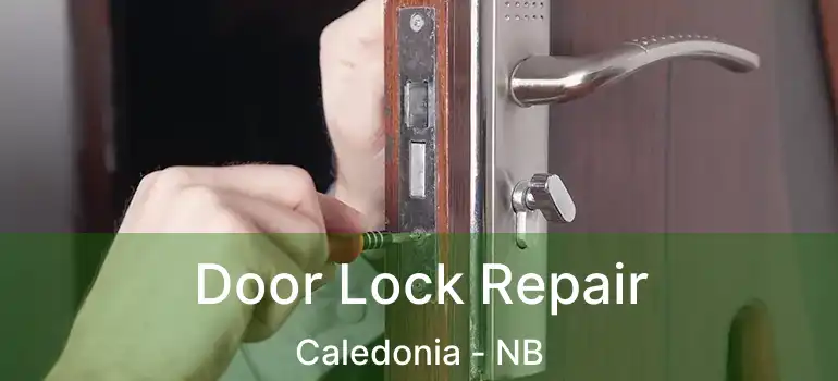  Door Lock Repair Caledonia - NB
