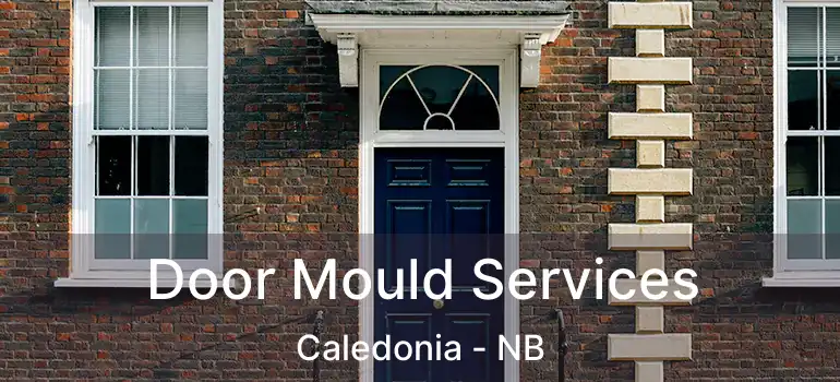  Door Mould Services Caledonia - NB