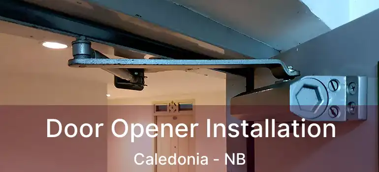  Door Opener Installation Caledonia - NB