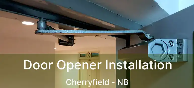  Door Opener Installation Cherryfield - NB