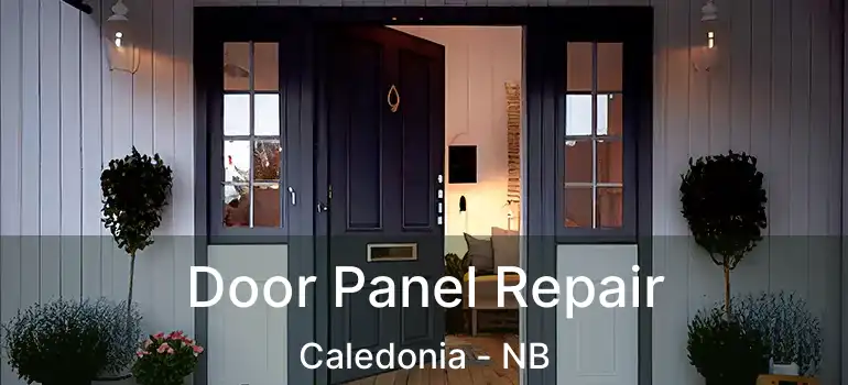  Door Panel Repair Caledonia - NB