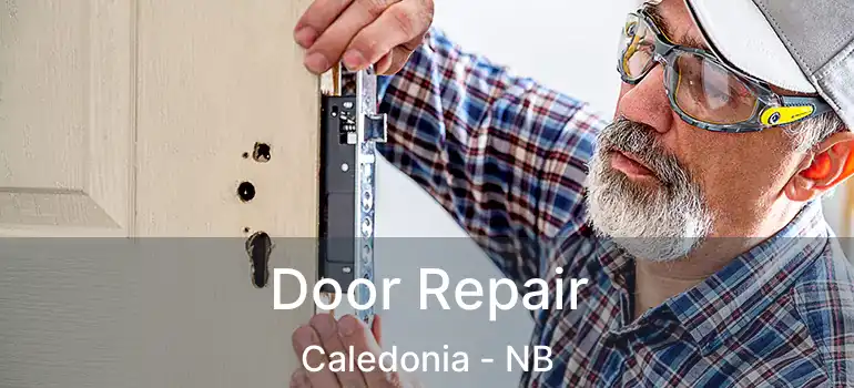  Door Repair Caledonia - NB