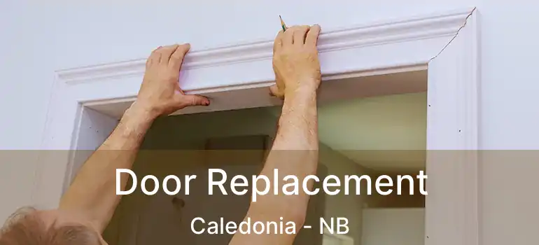 Door Replacement Caledonia - NB