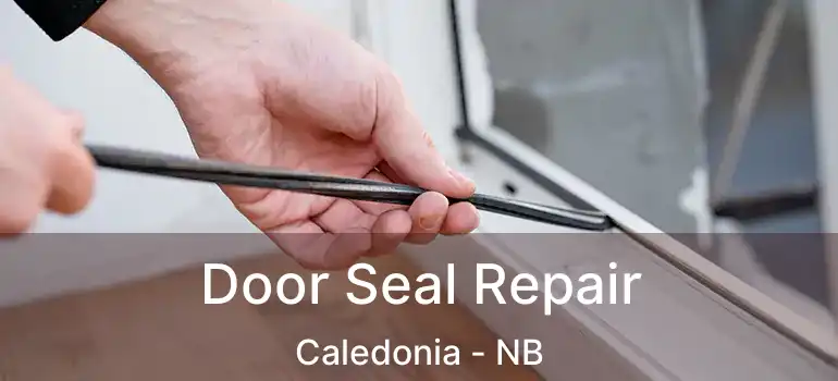 Door Seal Repair Caledonia - NB