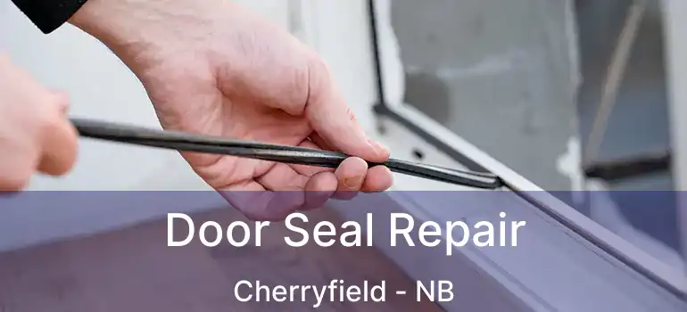  Door Seal Repair Cherryfield - NB