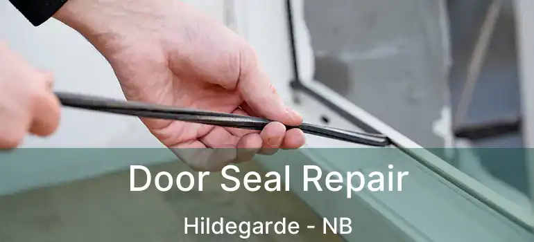  Door Seal Repair Hildegarde - NB