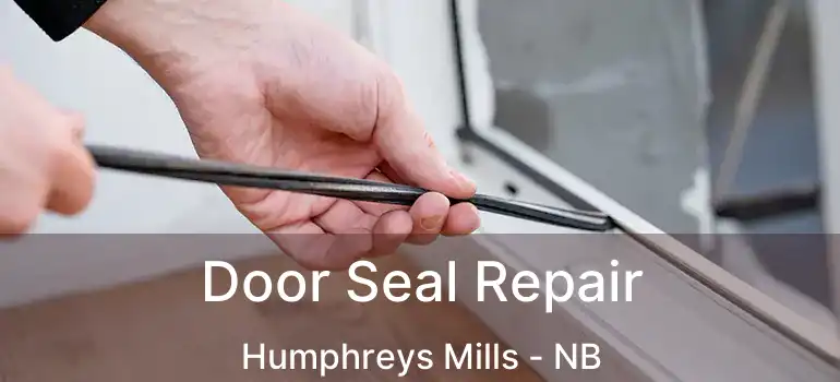  Door Seal Repair Humphreys Mills - NB