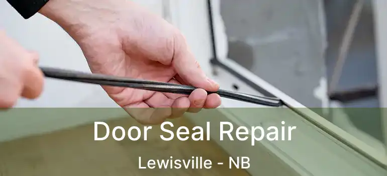  Door Seal Repair Lewisville - NB