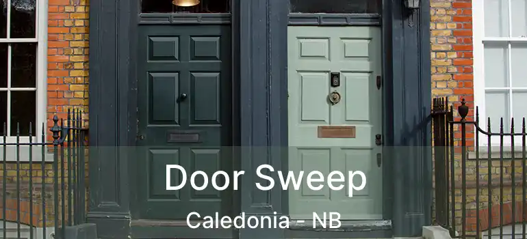  Door Sweep Caledonia - NB