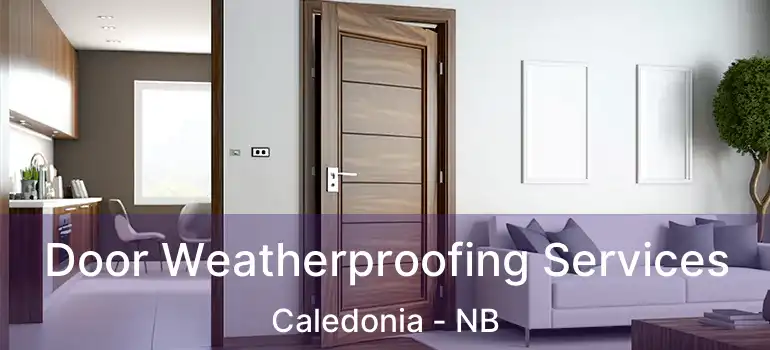  Door Weatherproofing Services Caledonia - NB